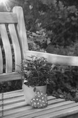 preview bw