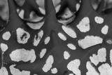preview bw