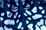 preview cold