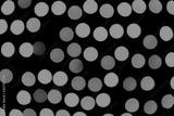 preview bw