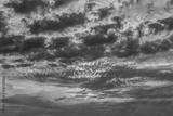 preview bw