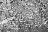 preview bw