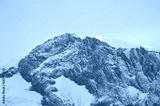 preview cold