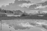 preview bw