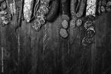 preview bw