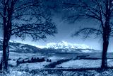 preview cold