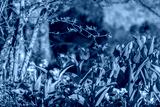 preview cold