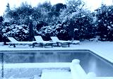 preview cold
