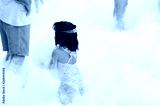 preview cold