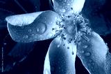 preview cold