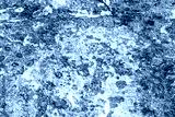 preview cold