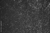 preview bw