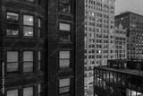 preview bw