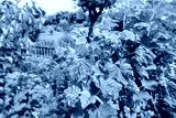 preview cold