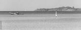 preview bw