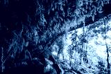 preview cold