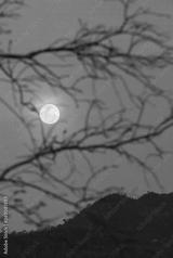 preview bw