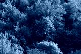 preview cold