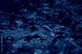 preview cold