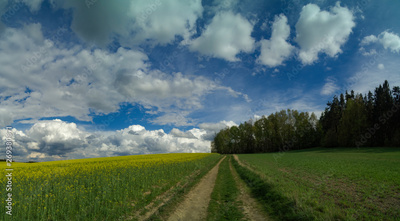 image to crop