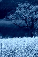 preview cold