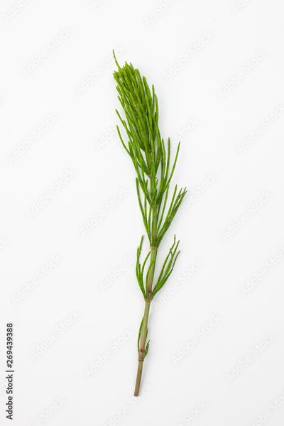 image to crop