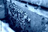 preview cold