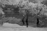 preview bw