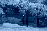 preview cold