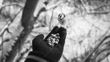 preview bw