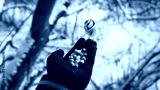 preview cold