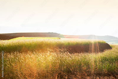 image to crop