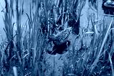 preview cold