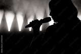 preview original