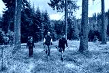 preview cold
