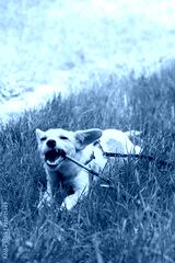 preview cold