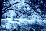 preview cold