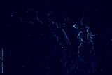 preview cold