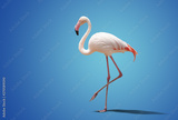 preview original