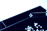 preview cold