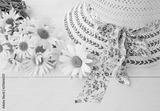 preview bw