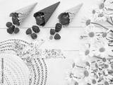 preview bw