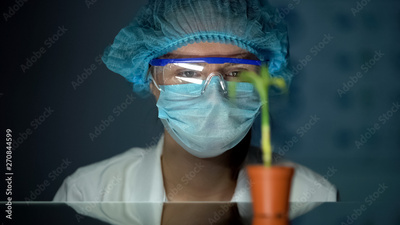 image to crop