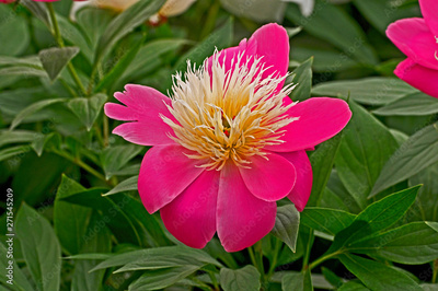 image to crop