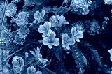preview cold