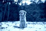preview cold