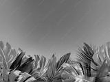 preview bw