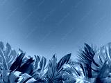 preview cold
