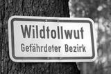 preview bw