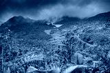 preview cold
